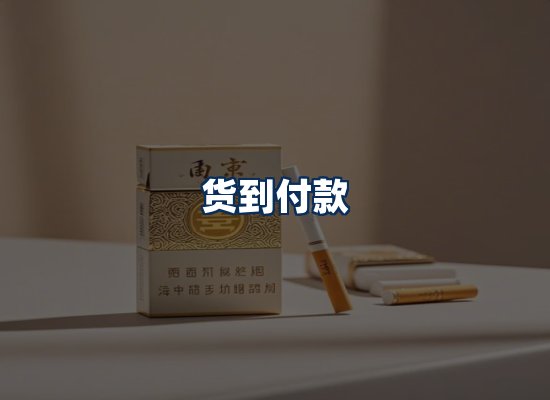 专业团队办公环境